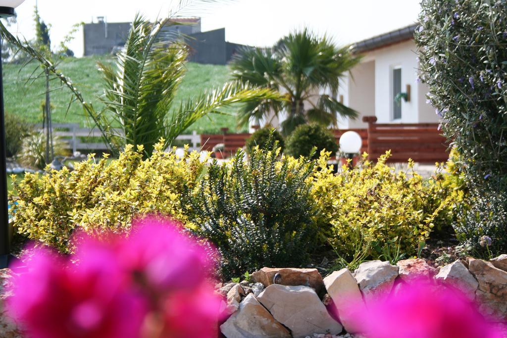 Hotel Oca Giuliva Montenero di Bisaccia Esterno foto